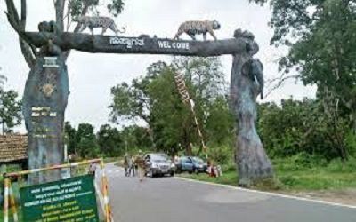bandipur_national_park_taxi