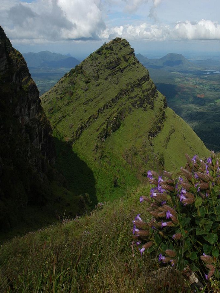 1 Day Bangalore to Chikkamagaluru Hill Station Tour