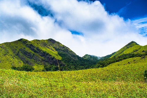 Mysore to Bandipur and Wayanad 2 days wildlife jungle safari tour package