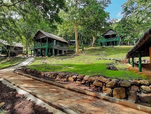 Mysore to BR Hills 2 days wildlife safari tour package
