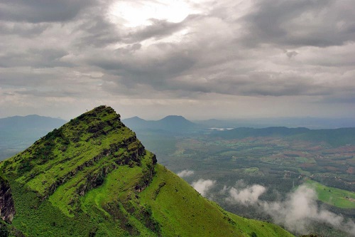 Mysore to Chikkamagaluru 2 days coffee estate car tour