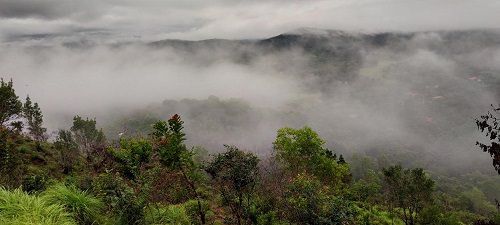 1 Day Coorg Day Trip from Mysore