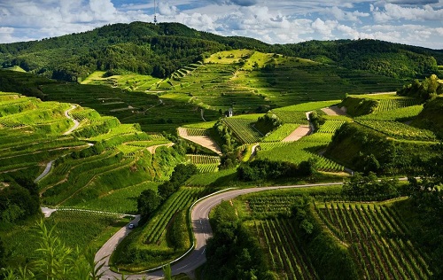 Mysore to Coorg 2 days tour package outstation cab