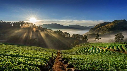 Mysore to Kodaikanal 3 days princess of hill stations cab package