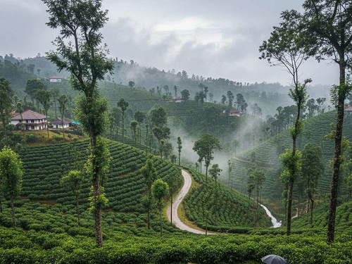 Mysore to Coorg and Ooty 4 days tour package combined taxi
