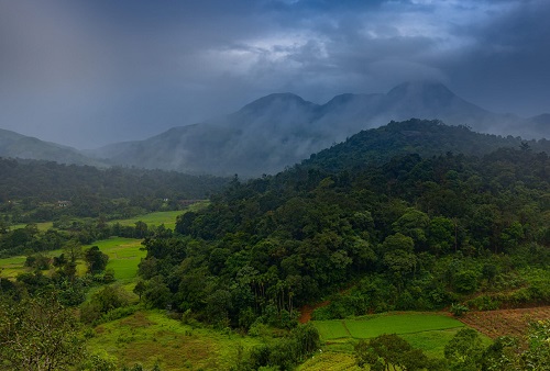 Mysore to Coorg Ooty and Wayanad 5 days tour package combined taxi hire