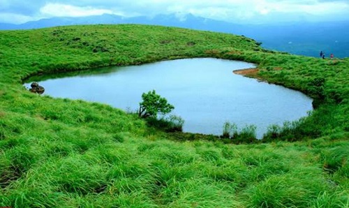 Mysore to Coorg Ooty and Wayanad 7 days grand adventure loop cab