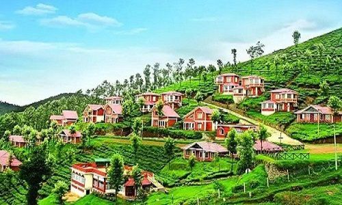 1 Day Ooty Hill Station Tour from Mysore