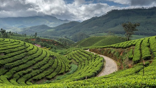 Mysore to Ooty 2 days hill station cab tour package