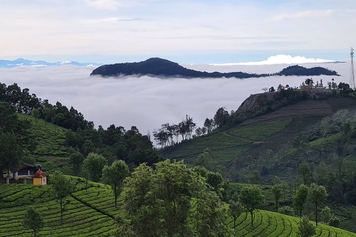 Mysore to Ooty and Coonoor 3 days holiday cab package