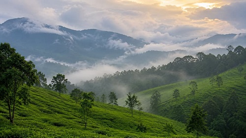 Mysore to Wayanad 2 days Kerala outstation cab tour