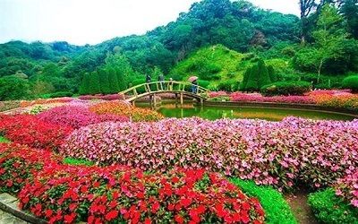 rose_garden_ooty_taxi